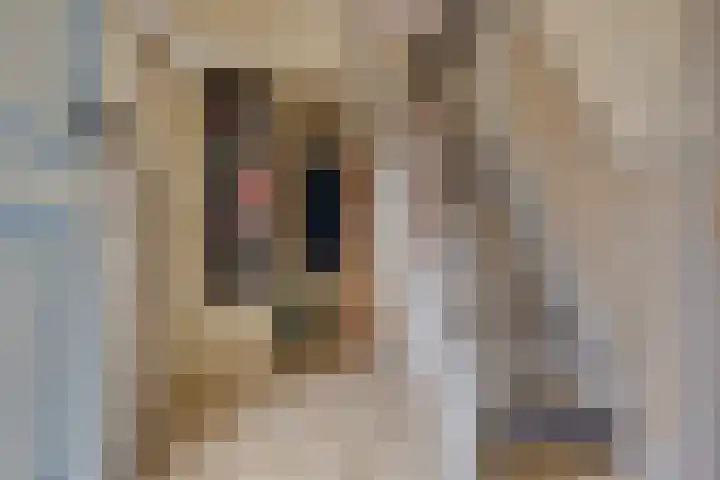 Julianaweg 68 Melissant thumbnail 8