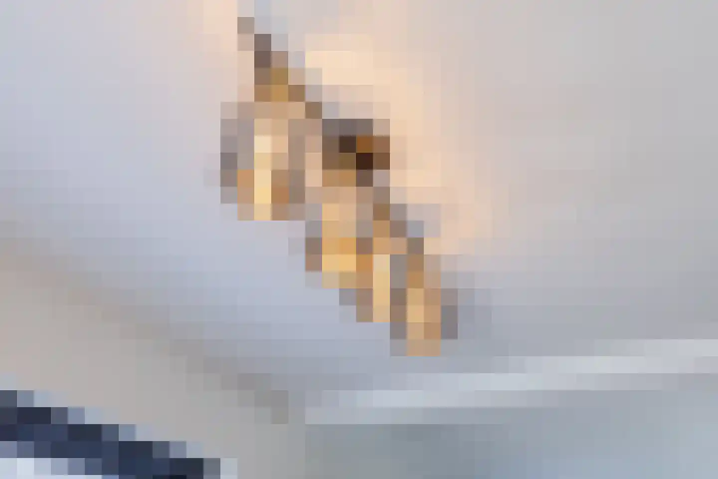 Julianaweg 69 a Akersloot thumbnail 15