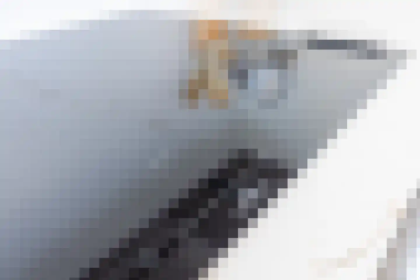 Julianaweg 69 a Akersloot thumbnail 20