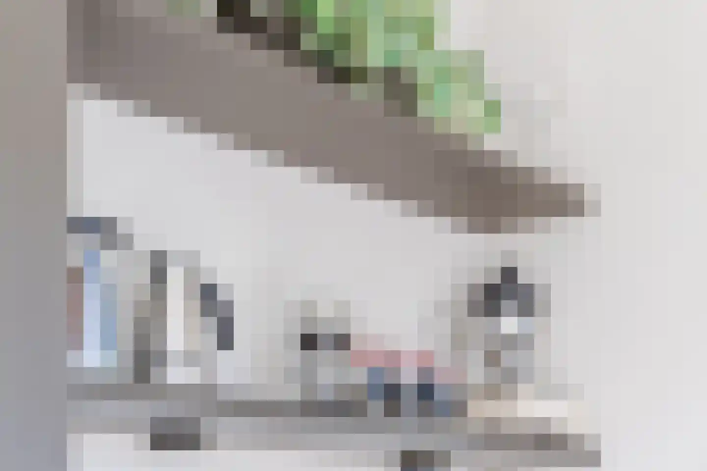 Julianaweg 69 a Akersloot thumbnail 24