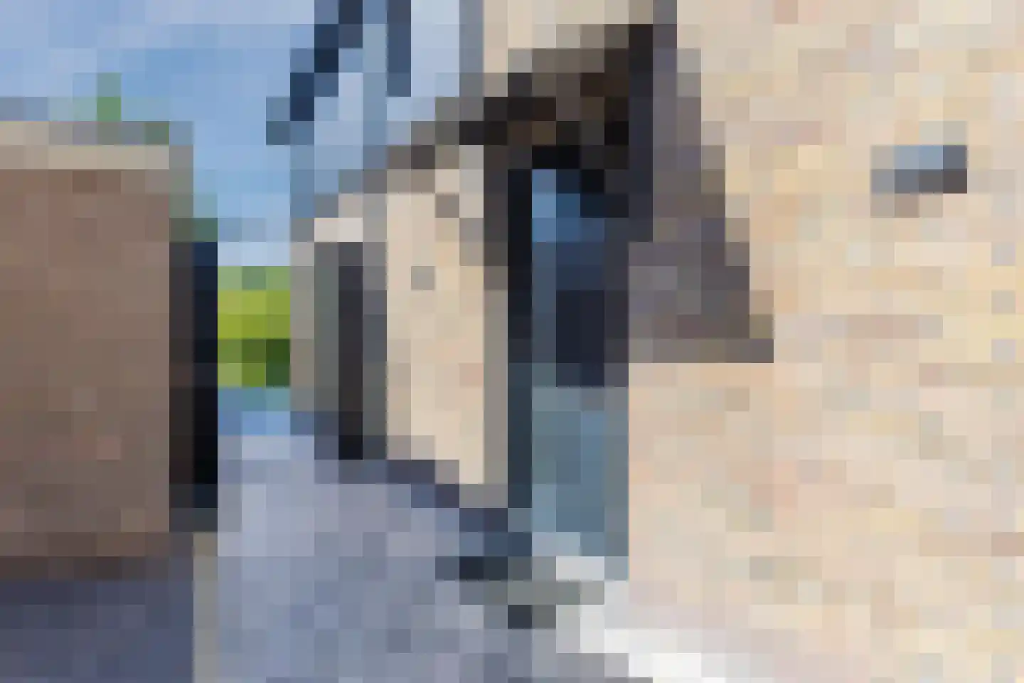 Julianaweg 69 a Akersloot thumbnail 41