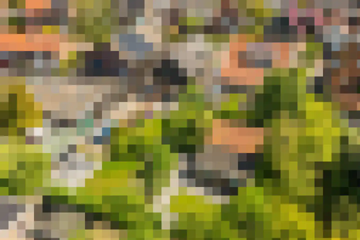 Julianaweg 69 a Akersloot thumbnail 5