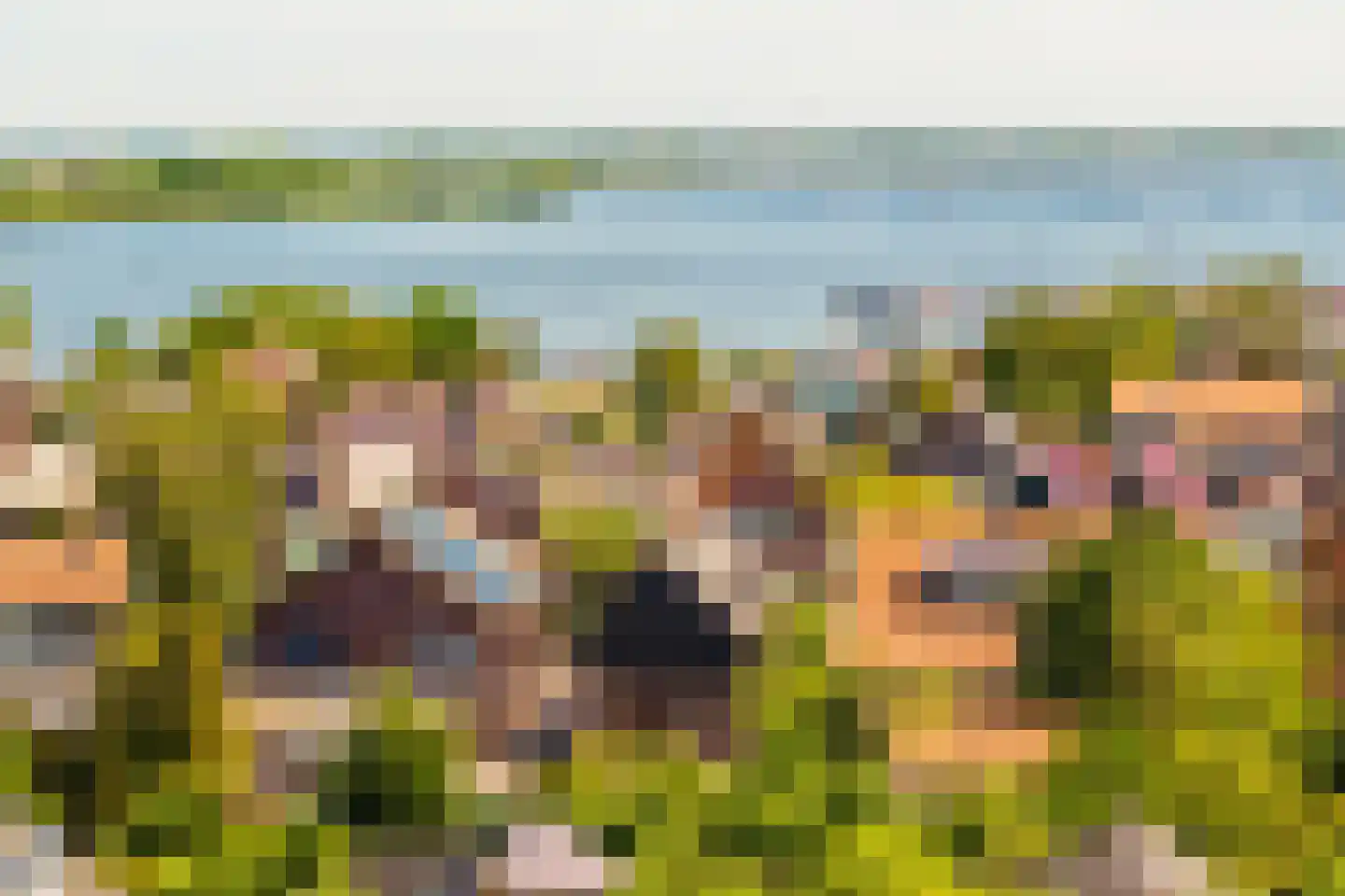 Julianaweg 69 a Akersloot thumbnail 6