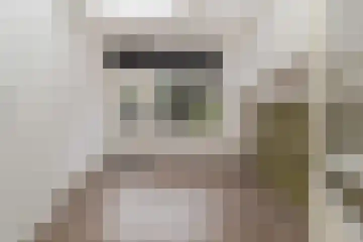 Julianaweg 69 Sint Geertruid thumbnail 11