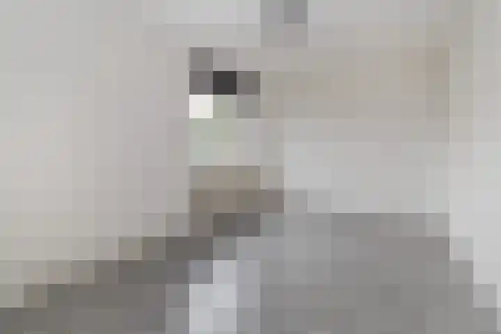 Julianaweg 69 Sint Geertruid thumbnail 14