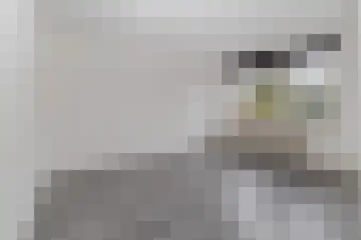 Julianaweg 69 Sint Geertruid thumbnail 16