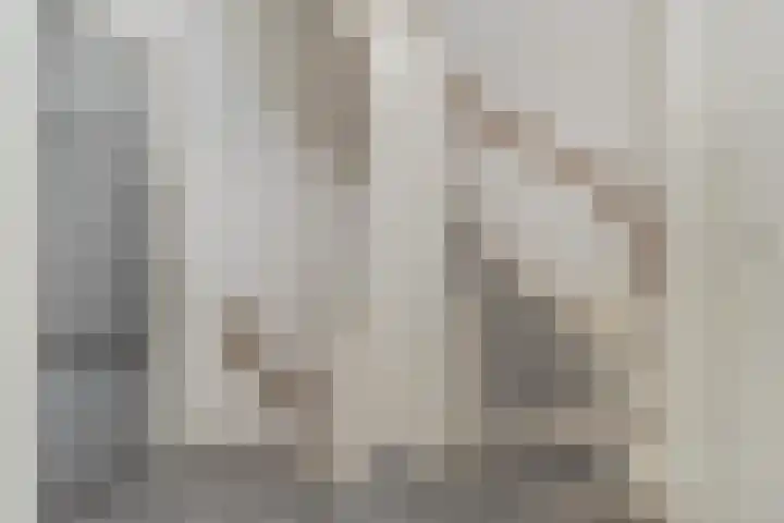 Julianaweg 69 Sint Geertruid thumbnail 19