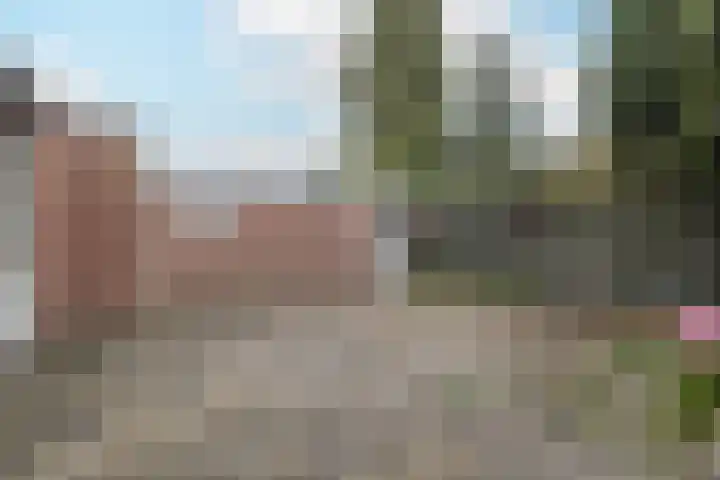 Julianaweg 69 Sint Geertruid thumbnail 22