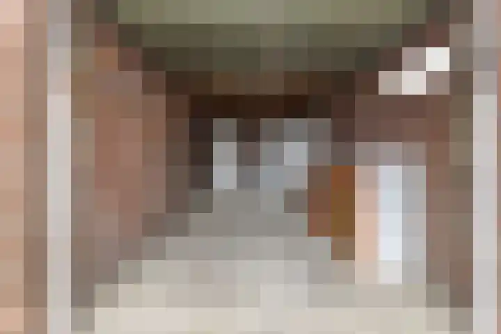 Julianaweg 69 Sint Geertruid thumbnail 25