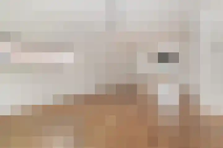 Julianaweg 69 Sint Geertruid thumbnail 6