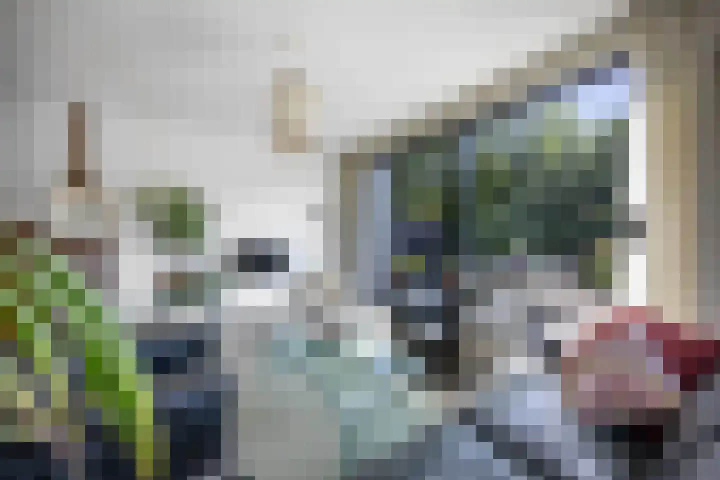 Julianaweg 73 A Wijk aan Zee thumbnail 16