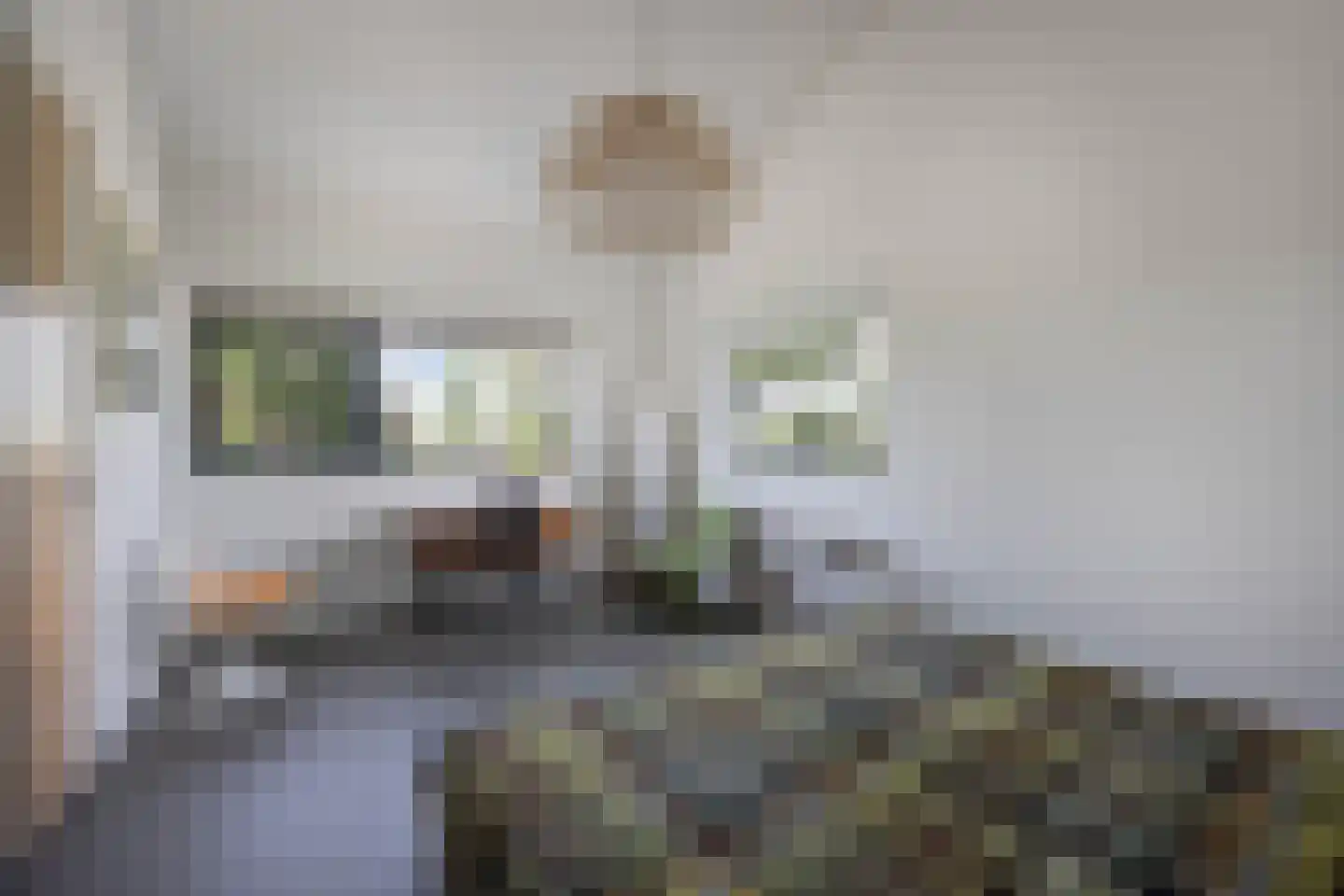 Julianaweg 73 A Wijk aan Zee thumbnail 28