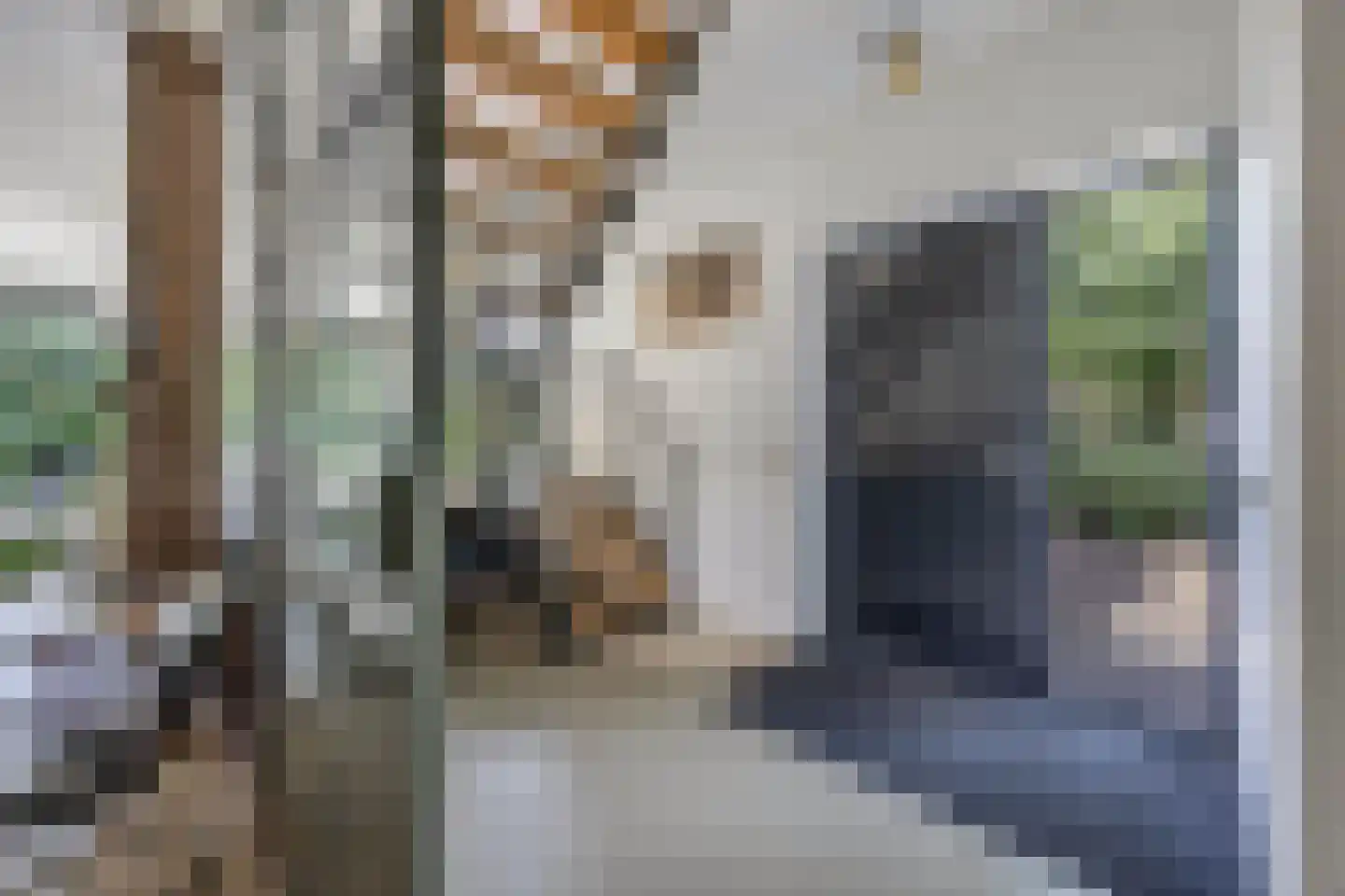 Julianaweg 73 A Wijk aan Zee thumbnail 8