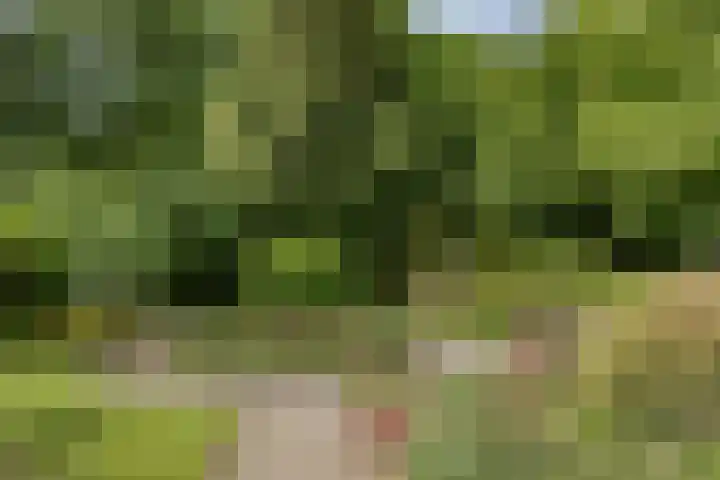Julianaweg 8 Hensbroek thumbnail 15