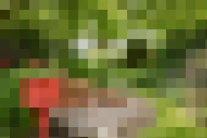 Julianaweg 8 Hensbroek thumbnail 16