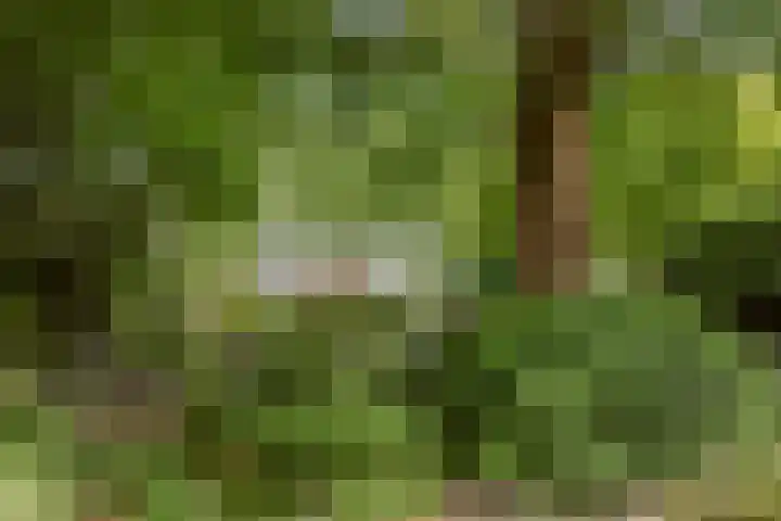 Julianaweg 8 Hensbroek thumbnail 17