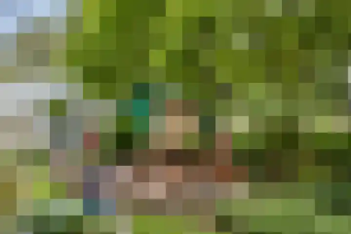 Julianaweg 8 Hensbroek thumbnail 18