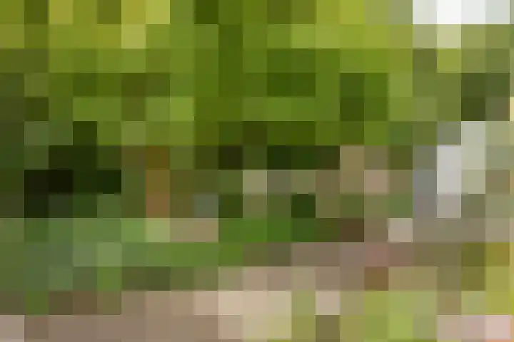 Julianaweg 8 Hensbroek thumbnail 20
