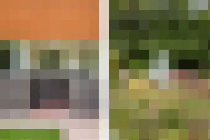 Julianaweg 8 Hensbroek thumbnail 22
