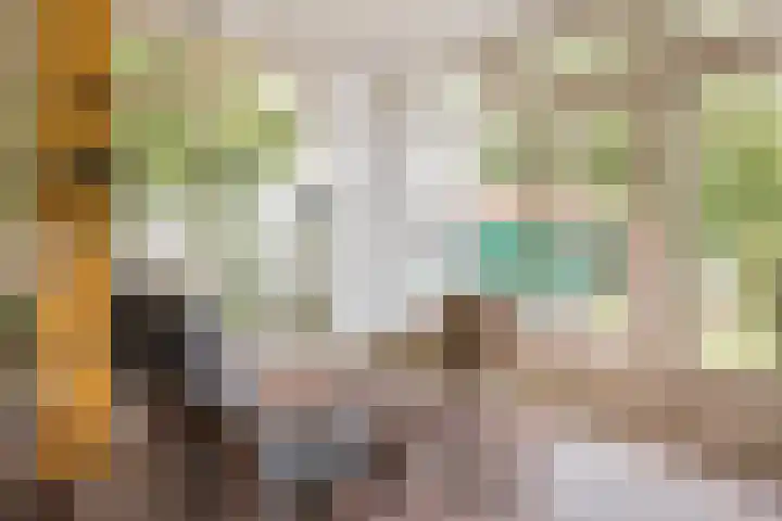 Julianaweg 8 Hensbroek thumbnail 4
