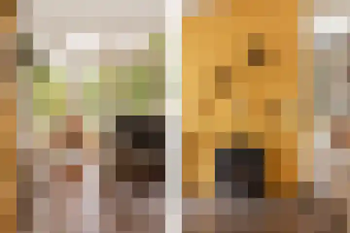 Julianaweg 8 Hensbroek thumbnail 7