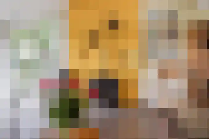 Julianaweg 8 Hensbroek thumbnail 9