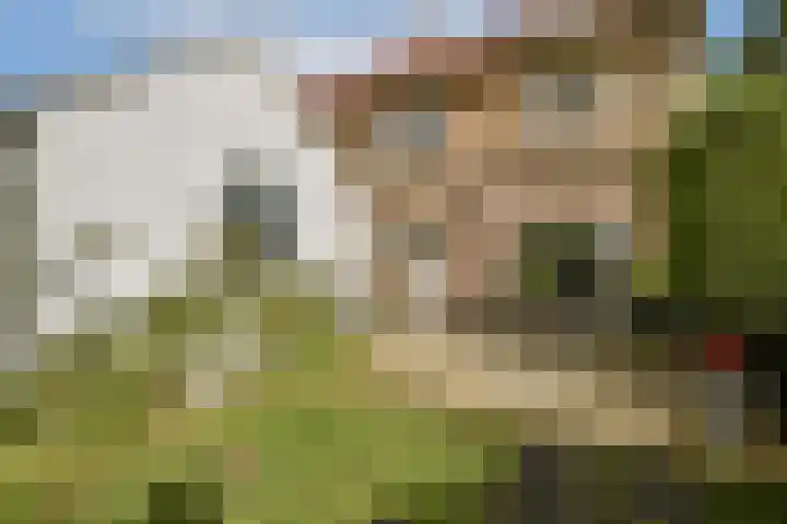Julianaweg 8 Zandvoort thumbnail 14