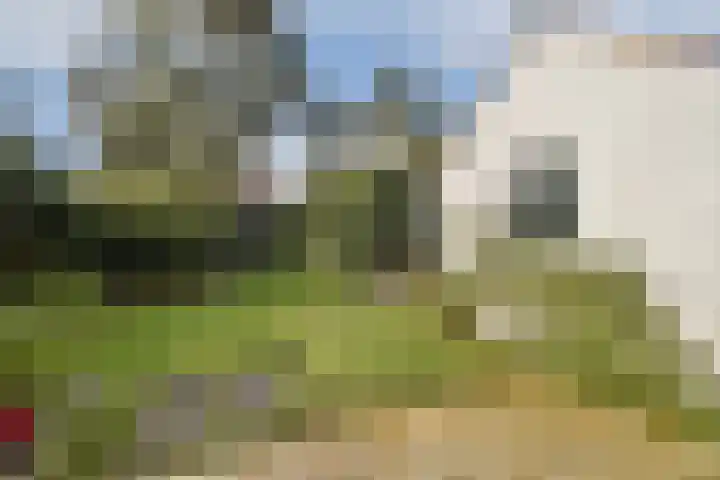 Julianaweg 8 Zandvoort thumbnail 15
