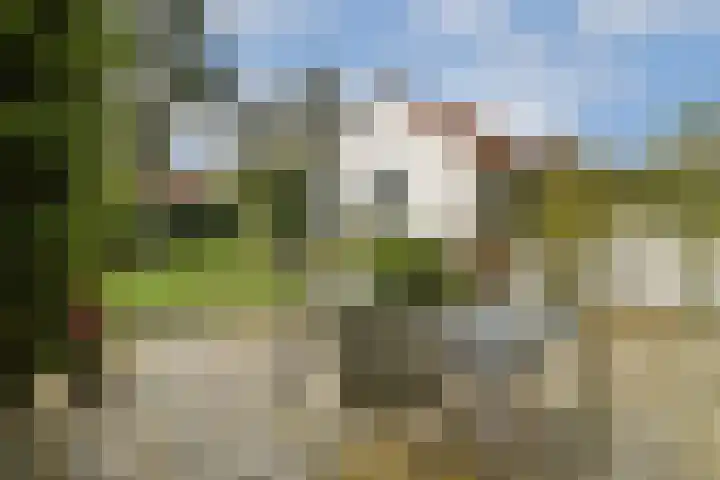 Julianaweg 8 Zandvoort thumbnail 16