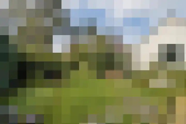 Julianaweg 8 Zandvoort thumbnail 17