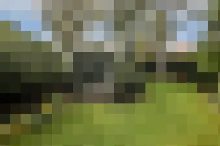 Julianaweg 8 Zandvoort thumbnail 18