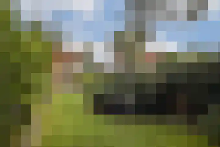 Julianaweg 8 Zandvoort thumbnail 20
