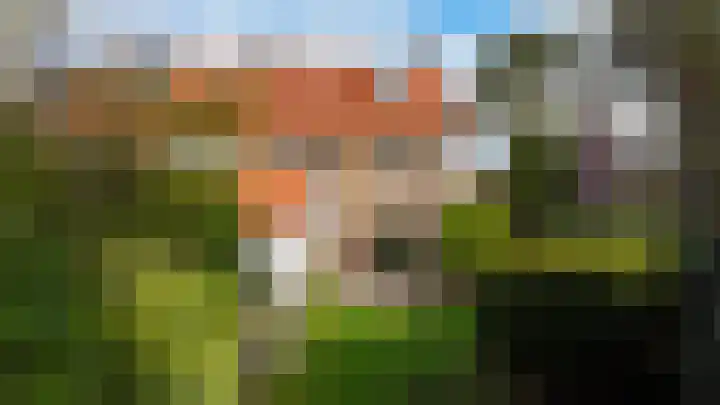 Julianaweg 8 Zandvoort thumbnail 21