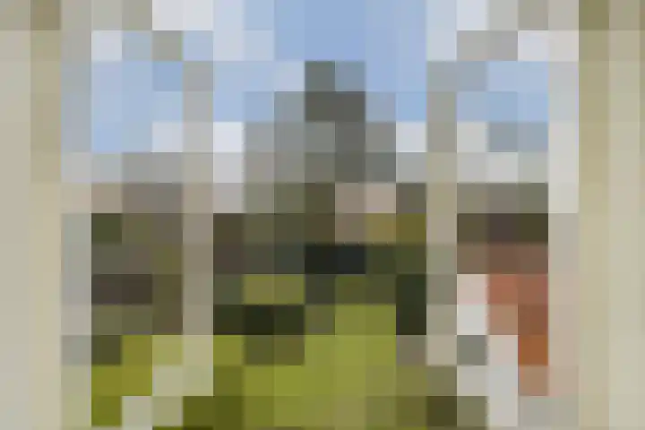 Julianaweg 8 Zandvoort thumbnail 31