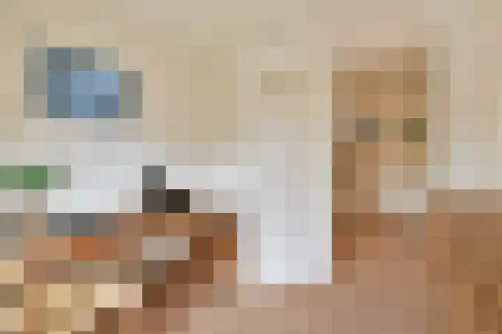 Julianaweg 8 Zandvoort thumbnail 33