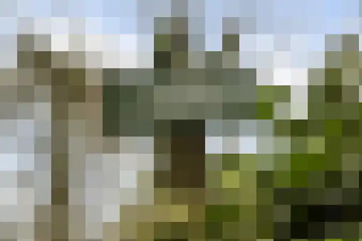 Julianaweg 8 Zandvoort thumbnail 41