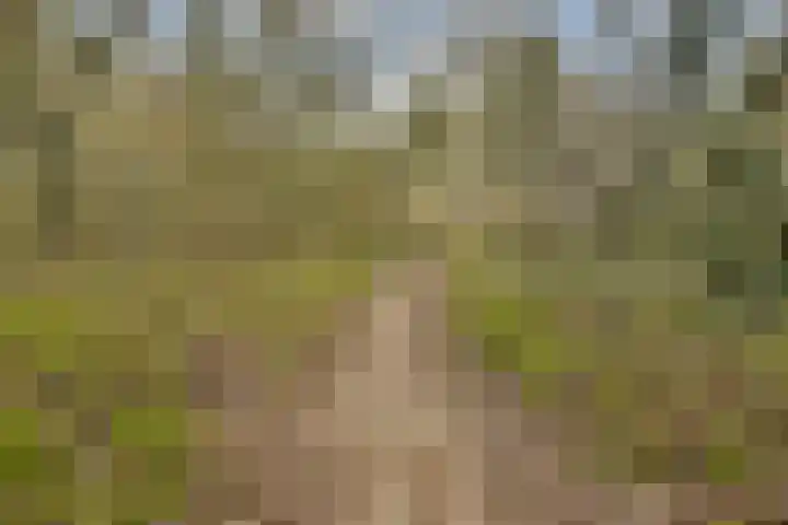 Julianaweg 8 Zandvoort thumbnail 42