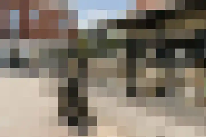 Julianaweg 8 Zandvoort thumbnail 43