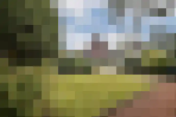 Julianaweg 8 Zandvoort thumbnail 5