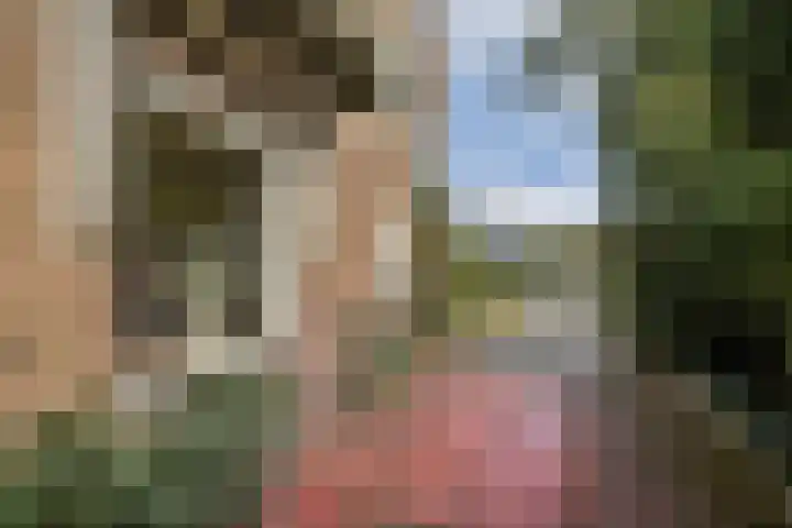 Julianaweg 8 Zandvoort thumbnail 6