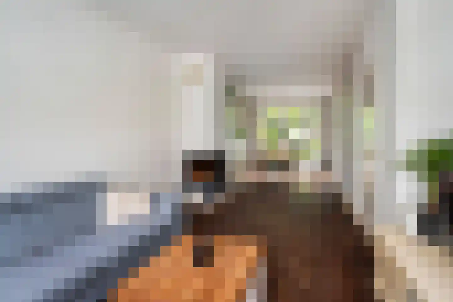 Julianaweg 80 Utrecht thumbnail 13