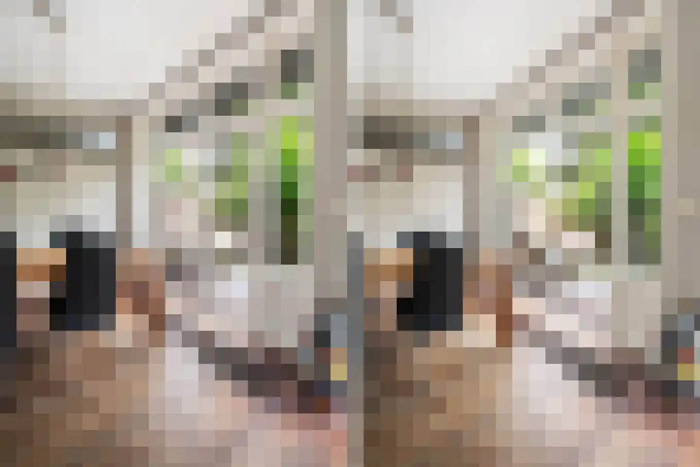 Julianaweg 80 Utrecht thumbnail 19