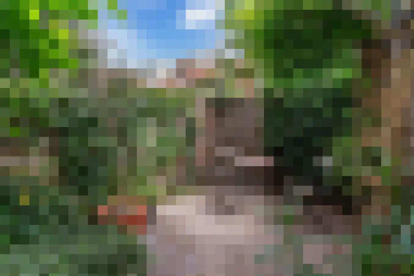 Julianaweg 80 Utrecht thumbnail 21
