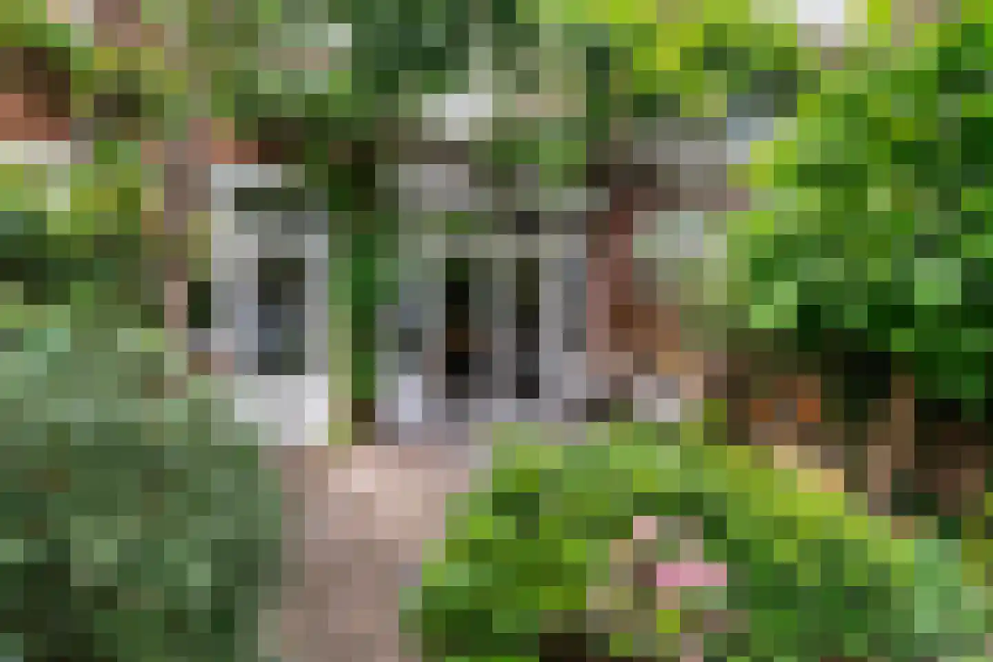Julianaweg 80 Utrecht thumbnail 22