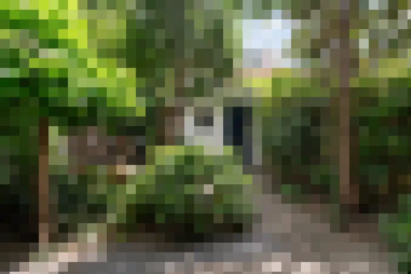 Julianaweg 80 Utrecht thumbnail 23