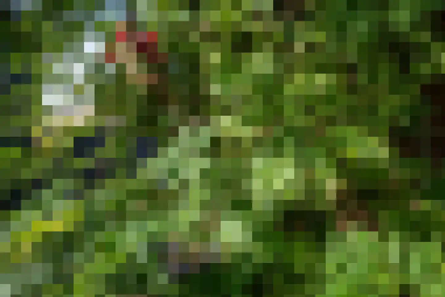Julianaweg 82 Melissant thumbnail 34
