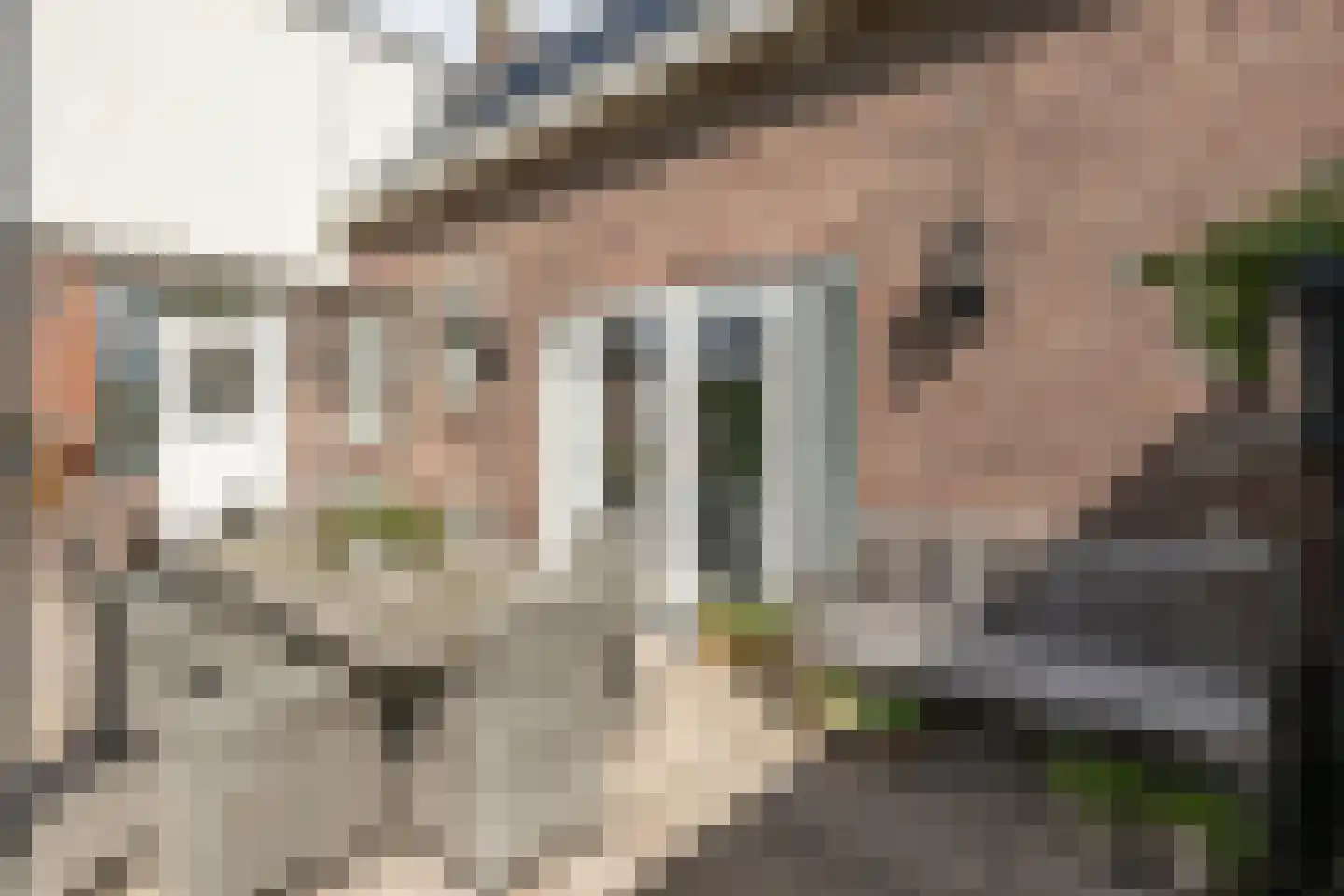 Julianaweg 82 Melissant thumbnail 36
