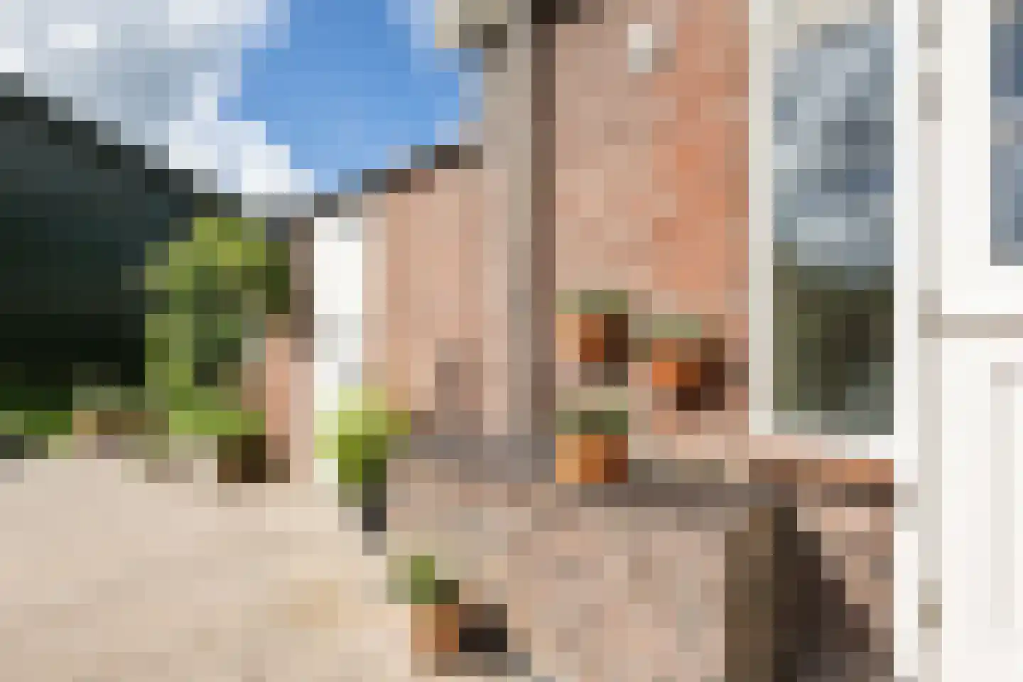 Julianaweg 82 Melissant thumbnail 37