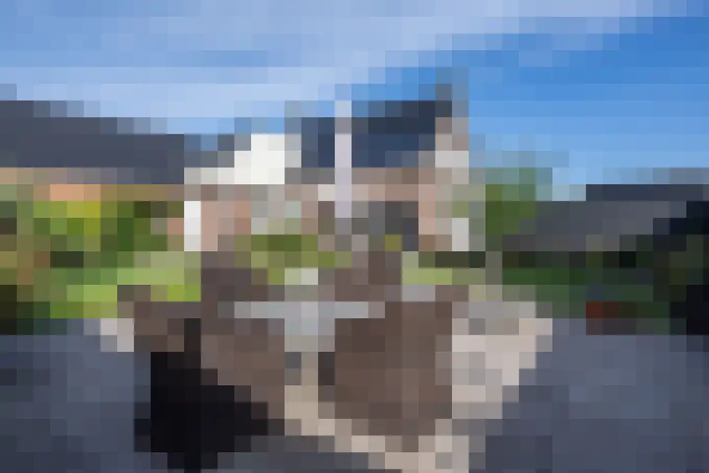 Julianaweg 82 Melissant thumbnail 39