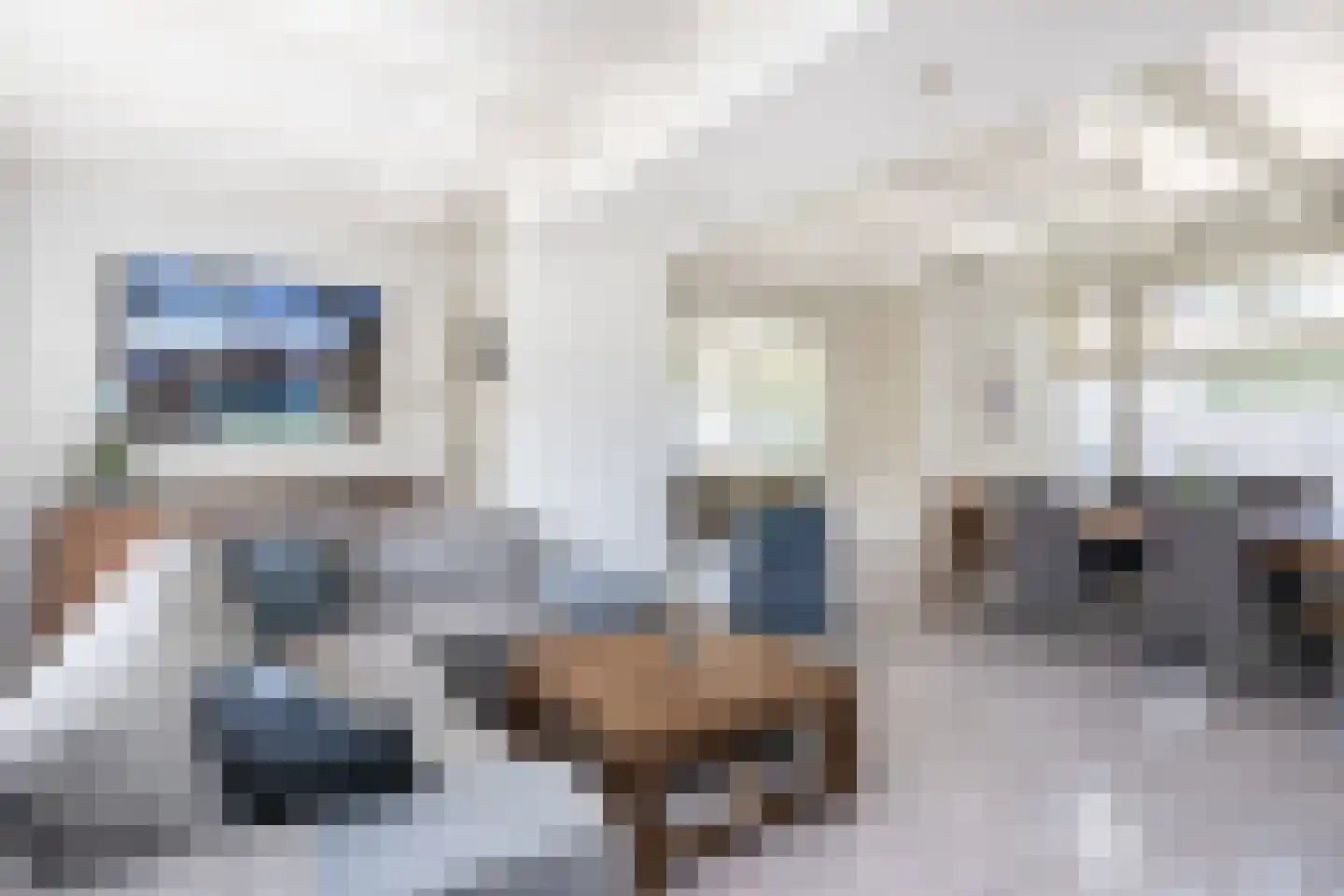 Julianaweg 82 Melissant thumbnail 6